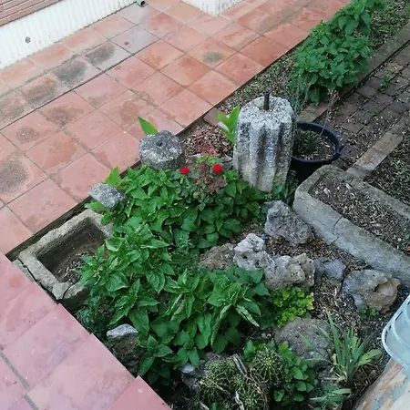 El Freginal * Tartareu