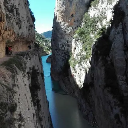 El Freginal * Tartareu