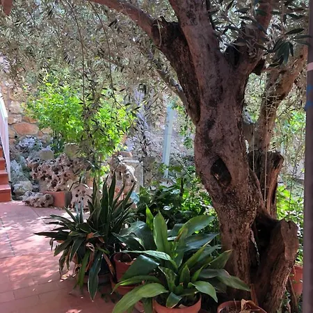 El Freginal Casa de Férias